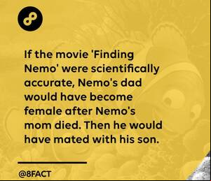 Finding Nemo Hentai Porn - Thanks, i hate finding nemo : r/TIHI