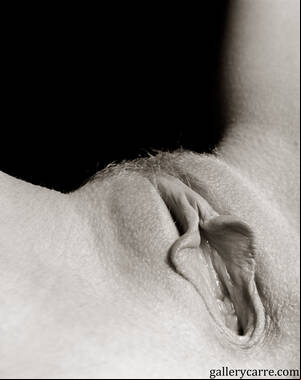 Black White Close Up Porn - Black and white pussy closeup Foto Porno - EPORNER